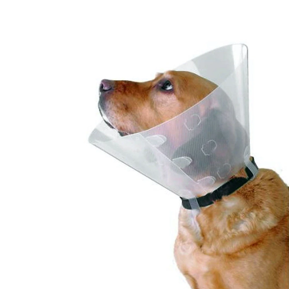 Buster Dog Collar - Size 40cm