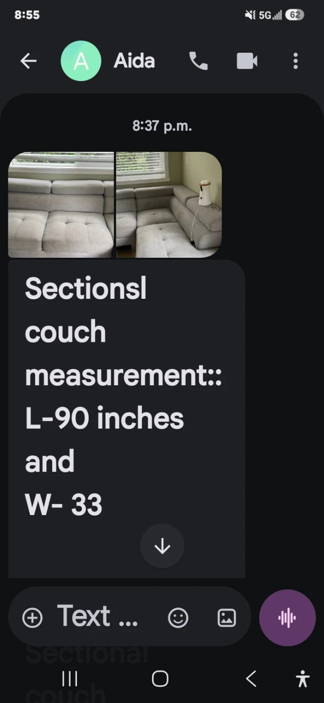 Sectional Couch