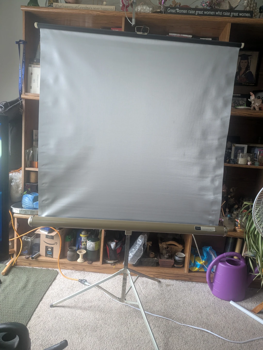 Portable Projector Screen on Tripod Stand - photo 2