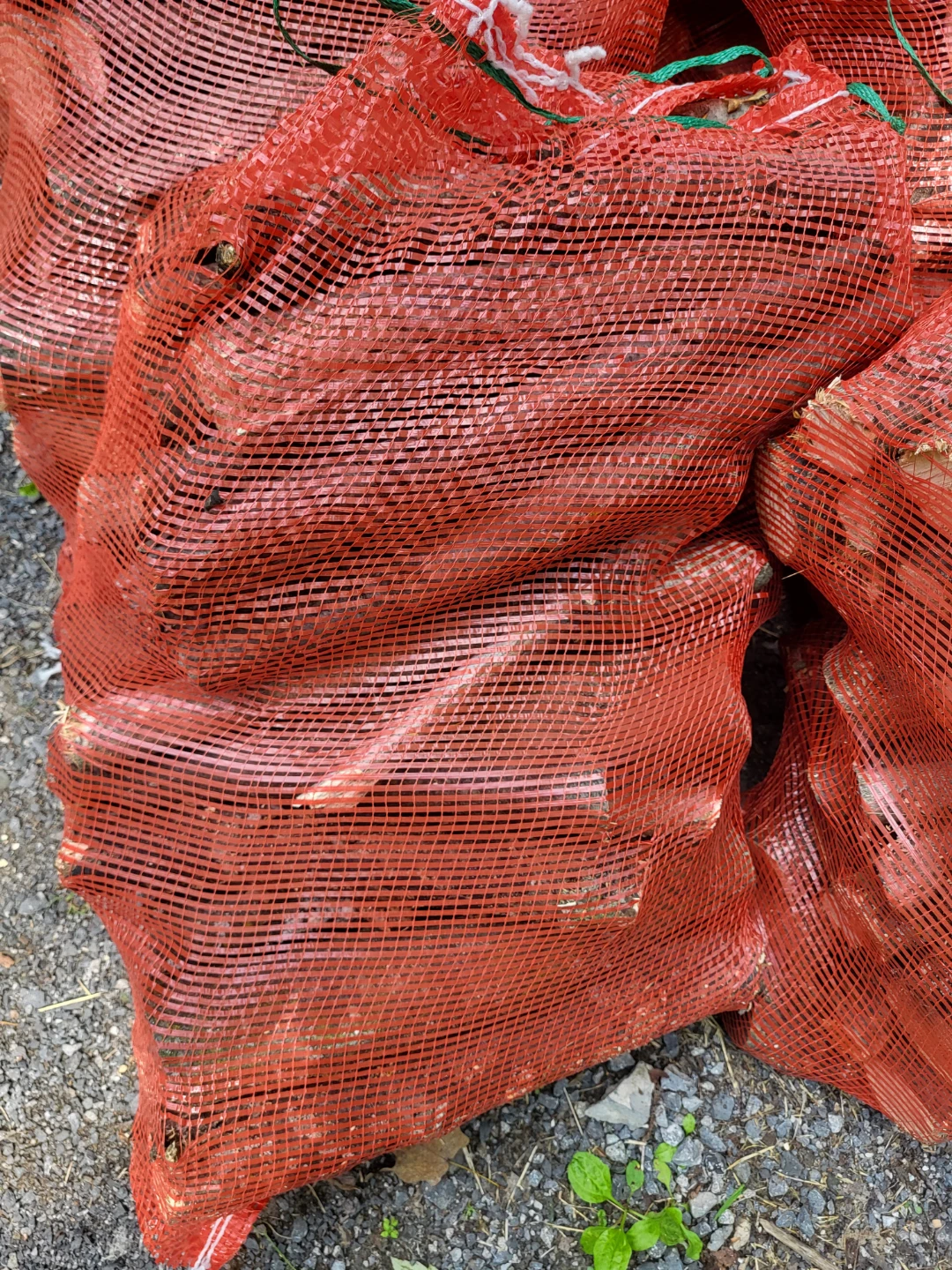 Bags of Campfire Firewood - photo 2