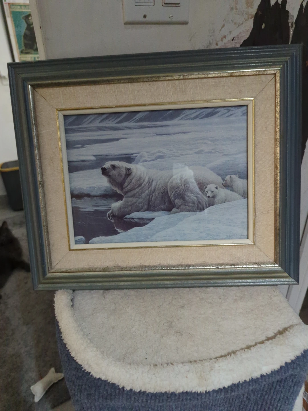 Framed Polar Bear Art