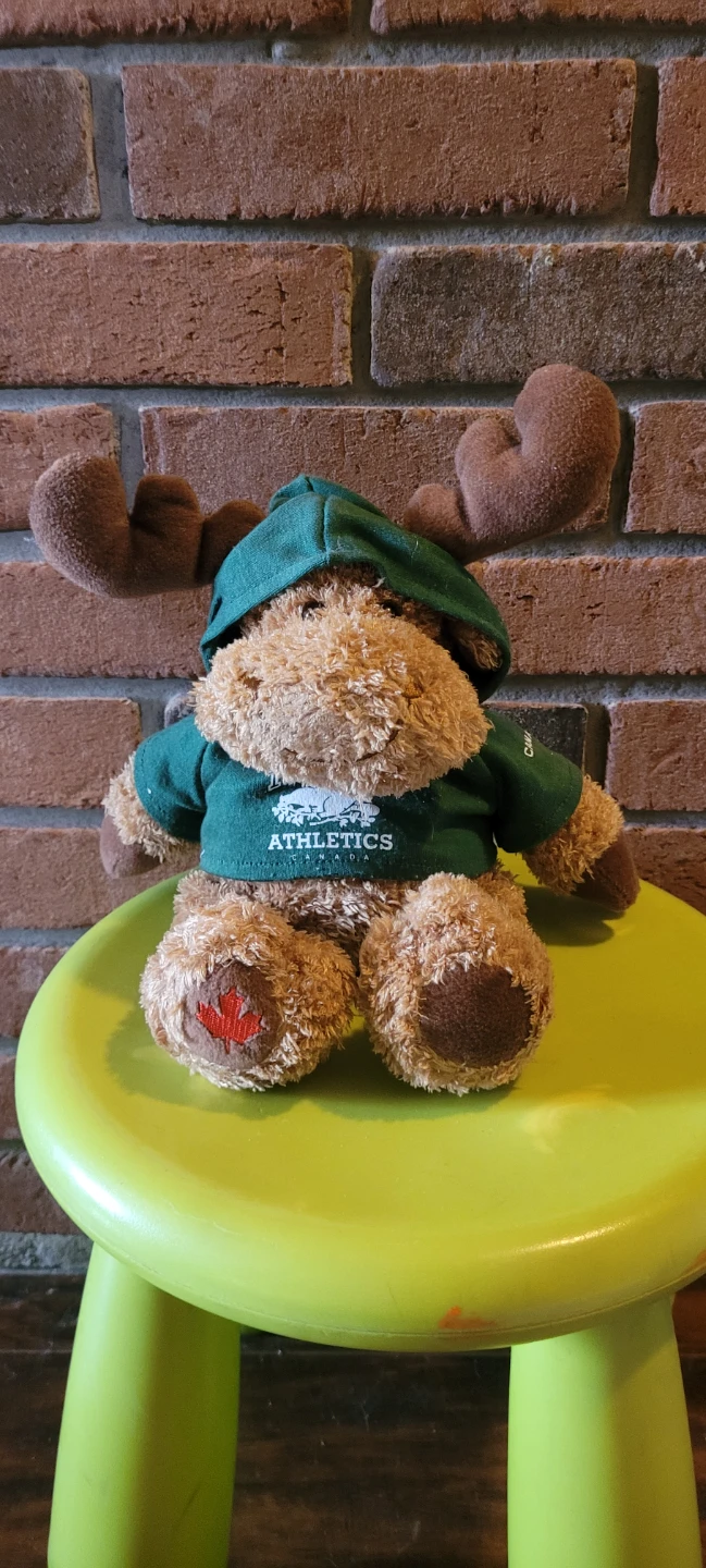 Roots Canada Moose Plush Toy