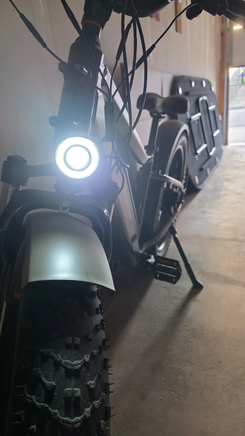 Rad Power Bikes Electric Fat Tire Bike - photo 2