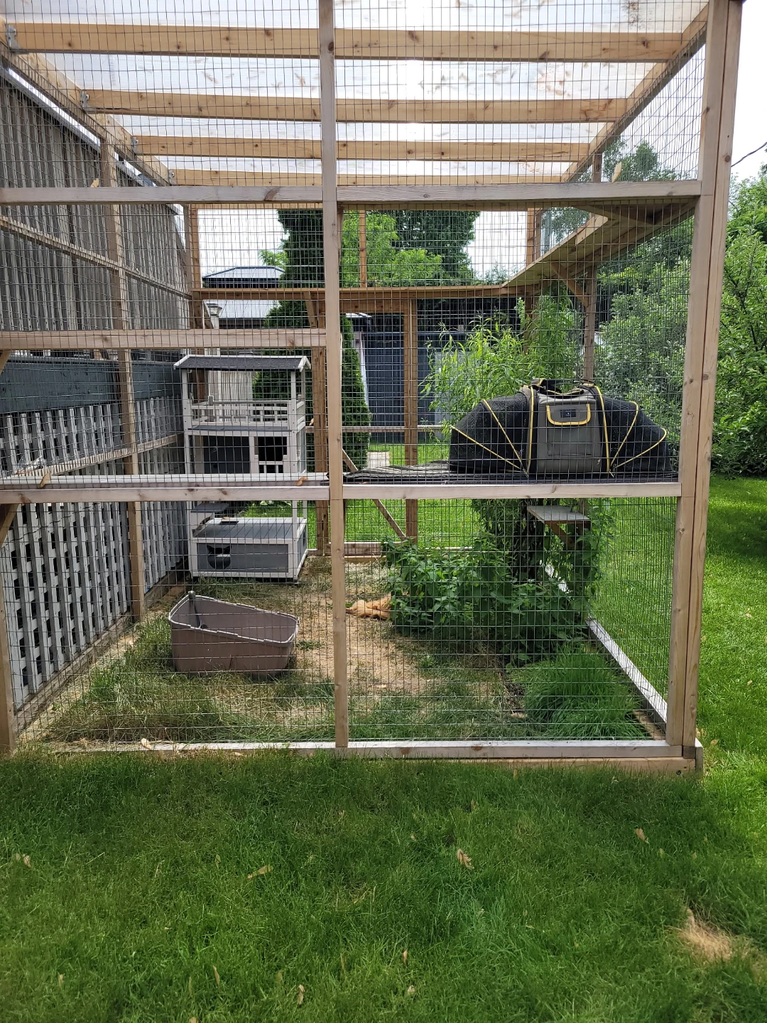 Outdoor Cat Enclosure with Shelves - photo 4