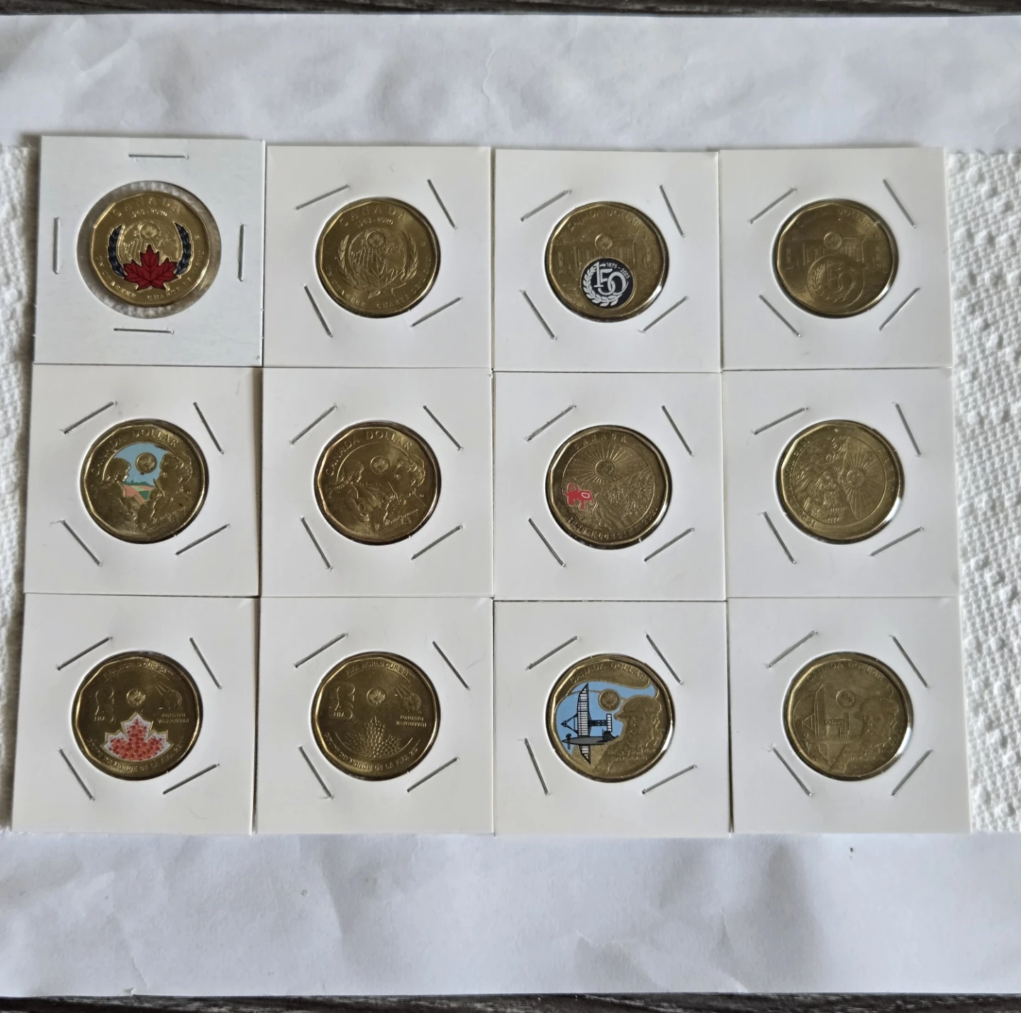 Collection of 12 Canadian Commemorative Loonie Coins - photo 2