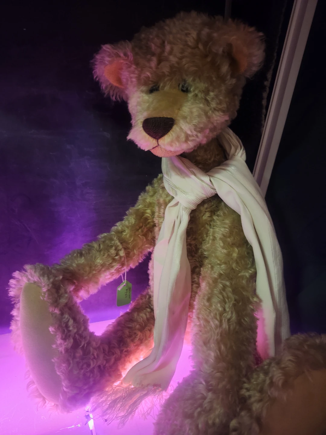 Johnny Bears Jackson Teddy Bear
