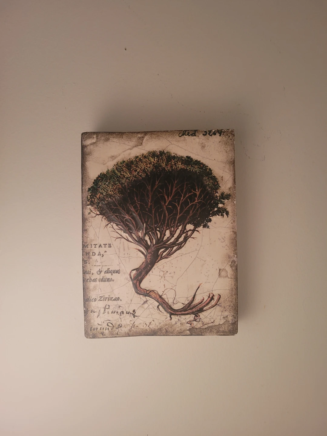 Signed Sid Dickens memory tiles - photo 3