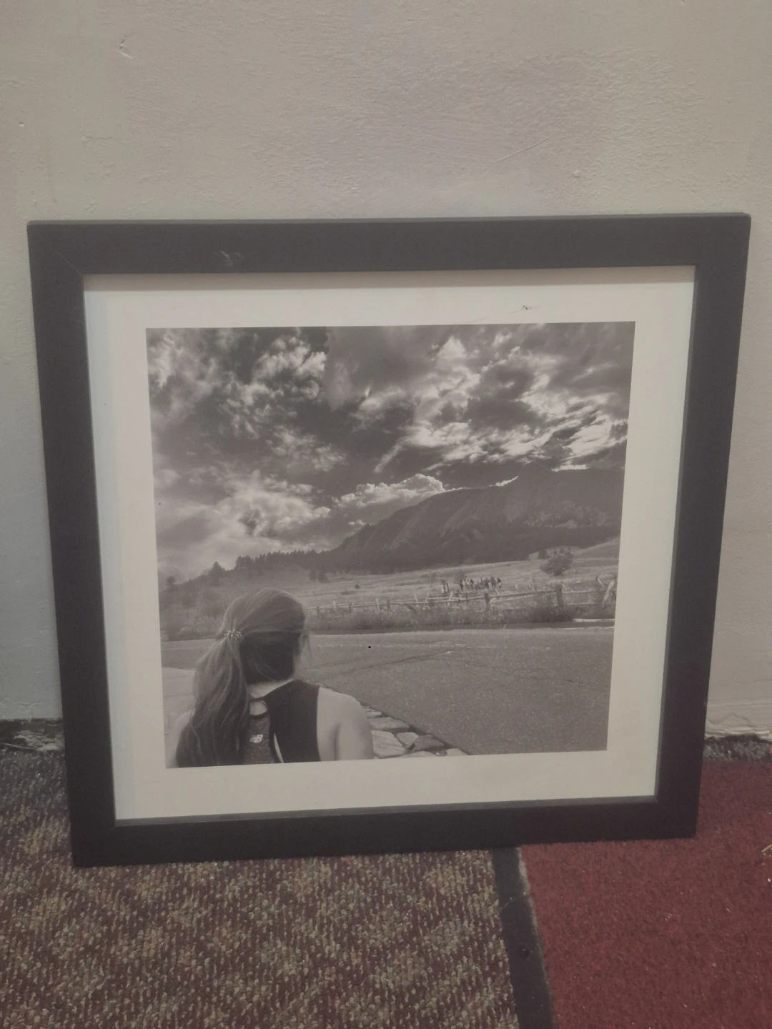 Framed Black and White Landscape Photo