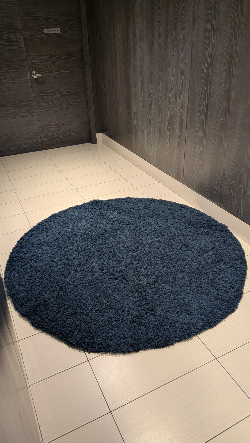 Unique Loom Solo Solid Shag Round Rug - Sapphire Blue w/pillow - photo 2