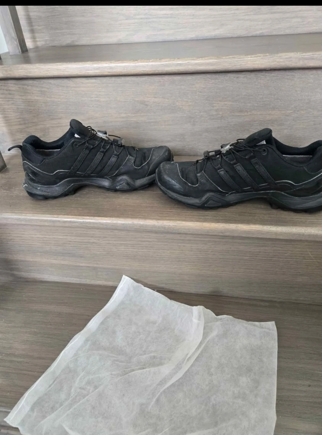Adidas Terrex Gore-Tex Hiking Shoes