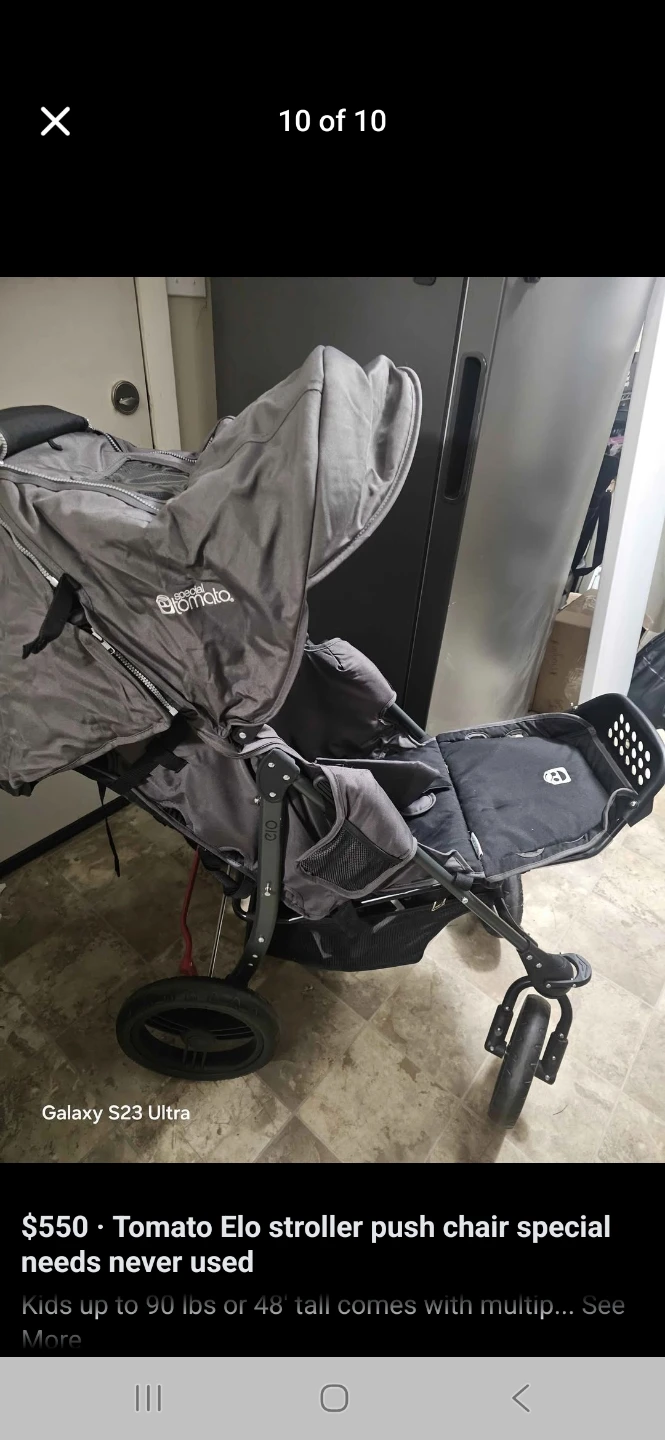 Tomato Elo Stroller special needs - photo 5