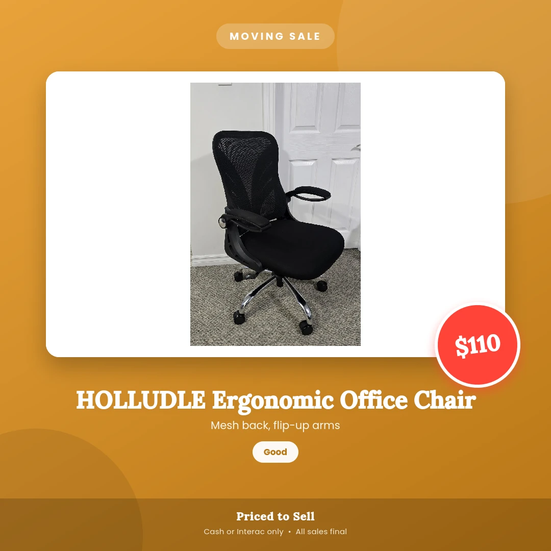 HOLLUDLE Ergonomic Office Chair