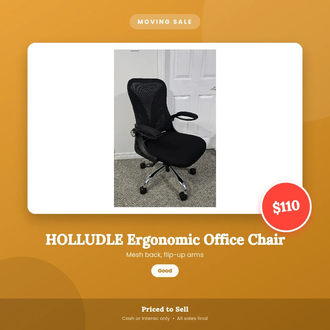 HOLLUDLE Ergonomic Office Chair