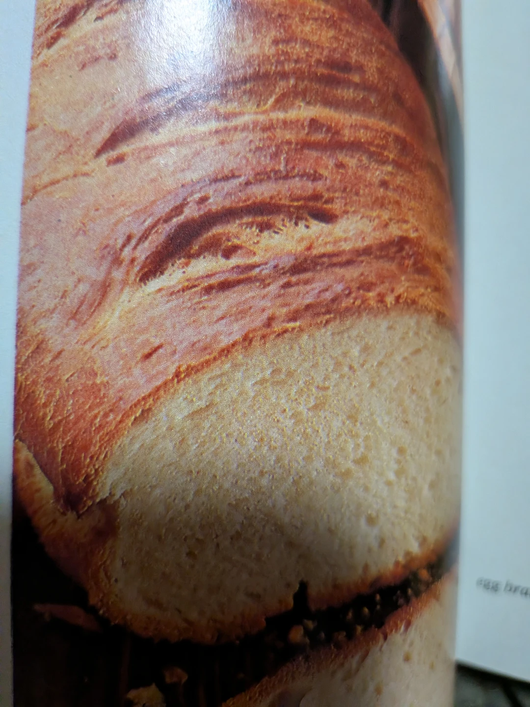The Encyclopedia  Of Creative Cooking. 797 psges - photo 4