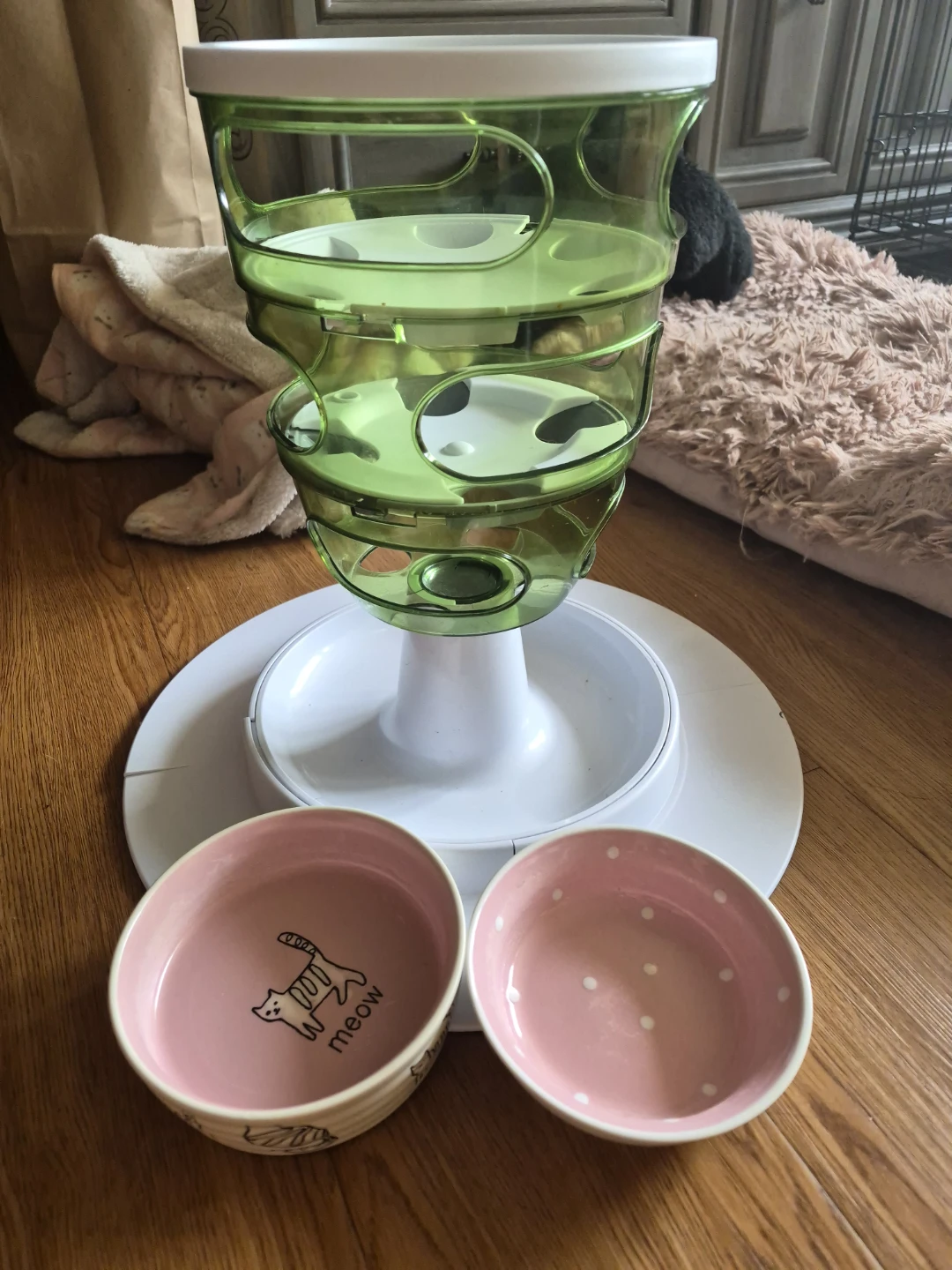 Cat bowls
