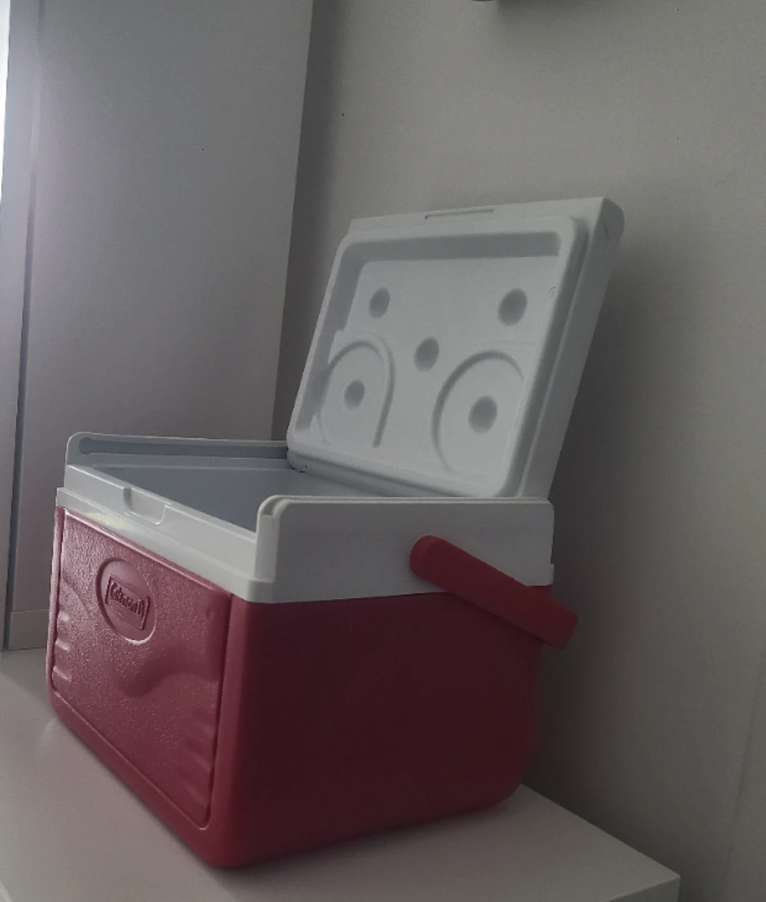 Small Coleman Cooler - photo 3
