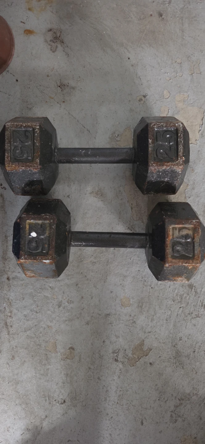 Pair of 25 lb Dumbbells