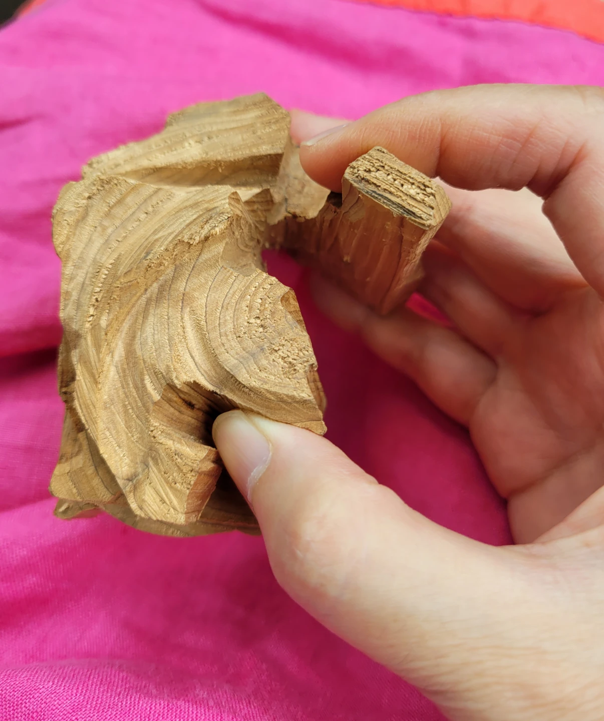600years old Carved Red Cedar Wood Piece - photo 3
