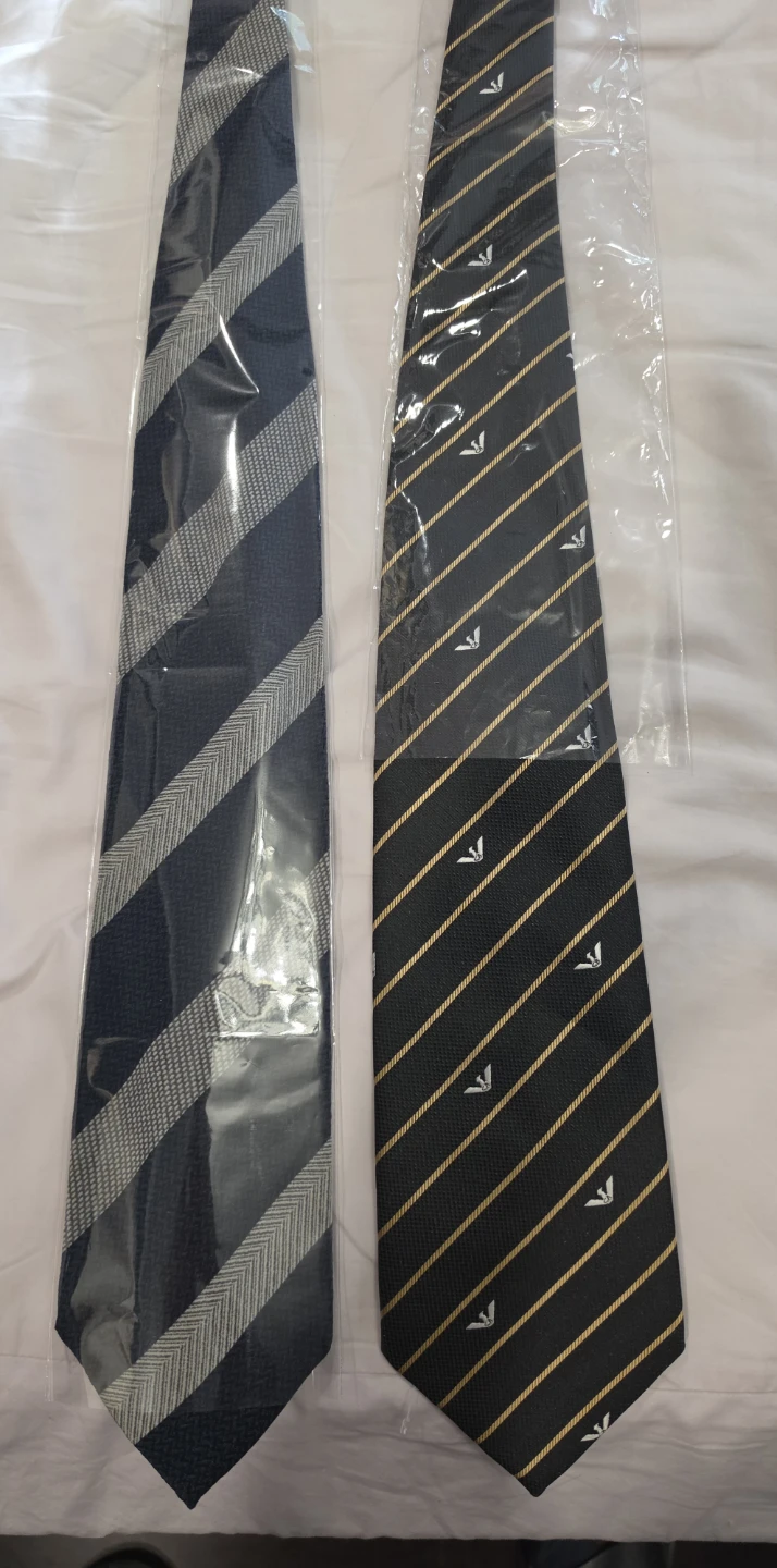 Giorgio Armani Cravatte Ties (Set of 2)