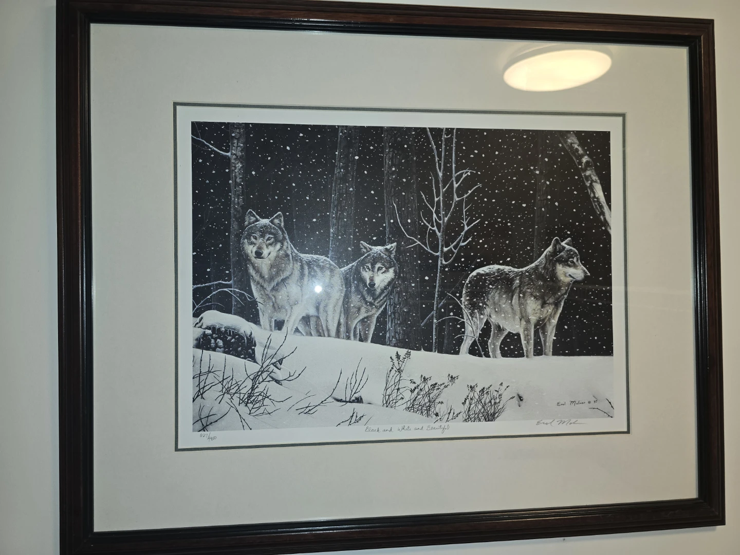 Framed Print "Black and White and Beautiful" by Earl M. Mellen