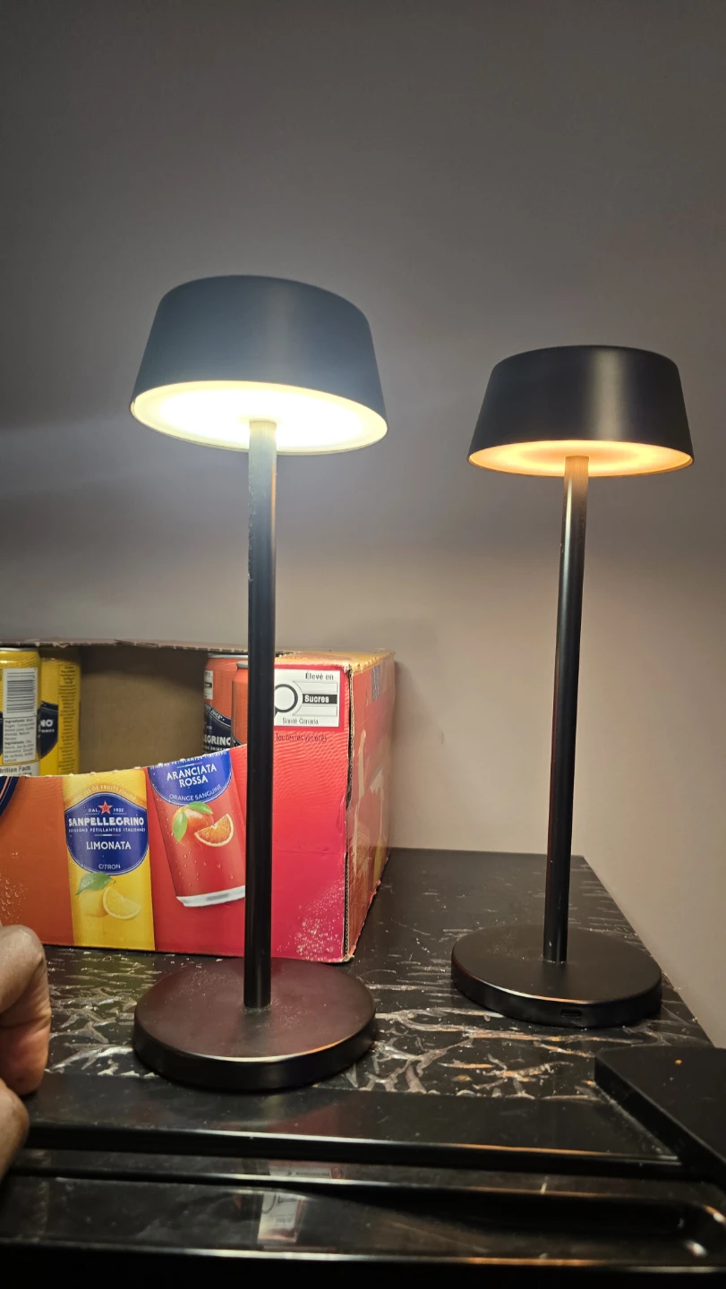 Set of 2 Black Portable LED Table Lamps - photo 4