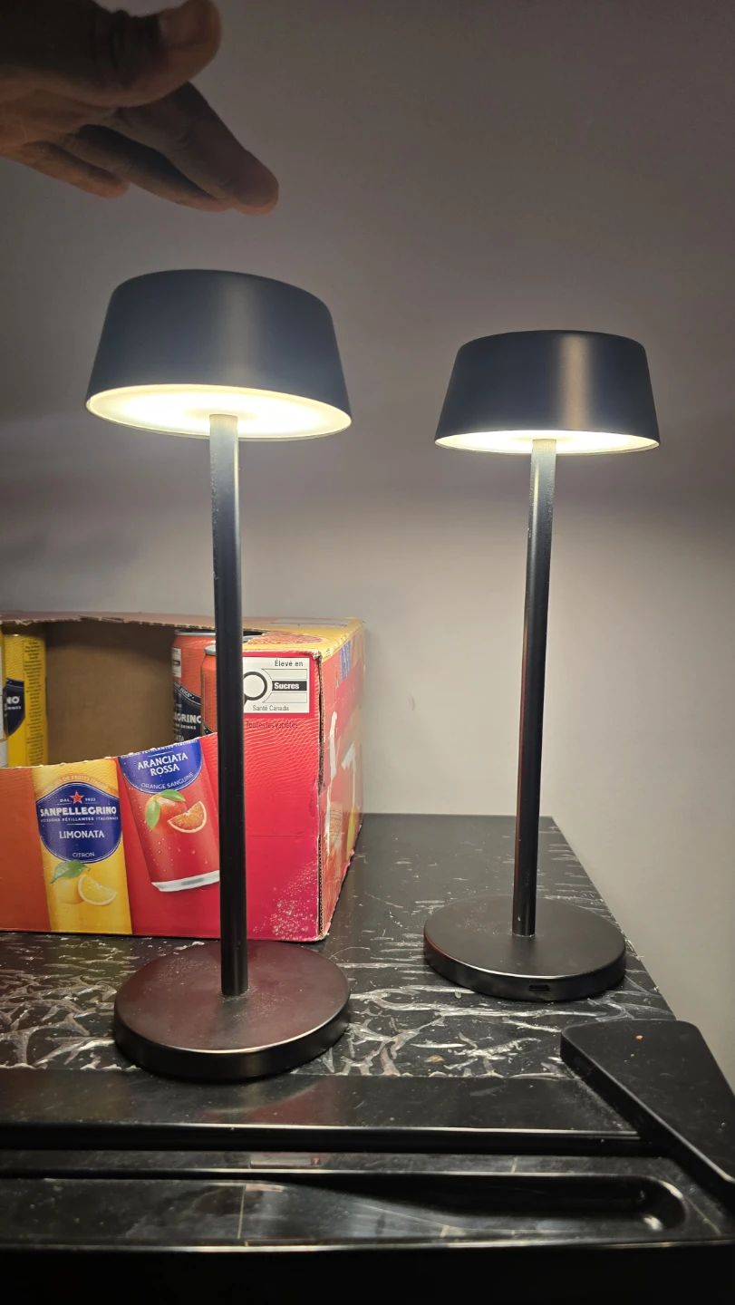 Set of 2 Black Portable LED Table Lamps - photo 5