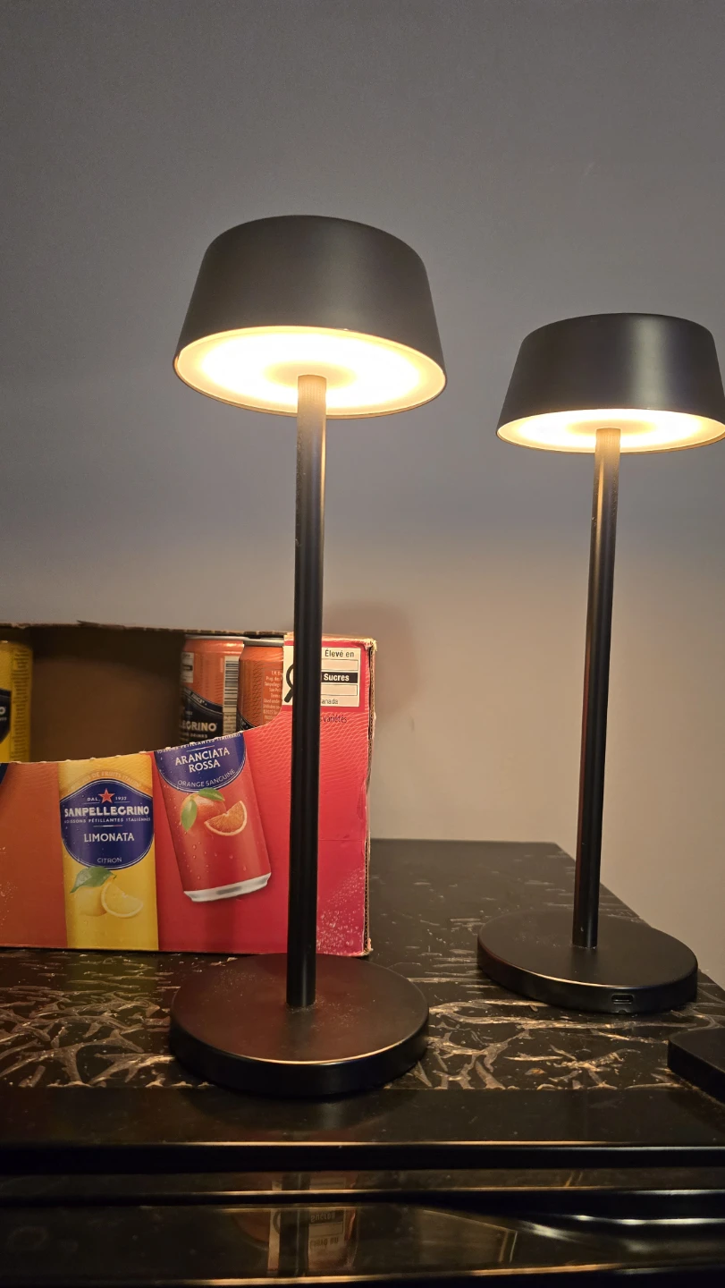 Set of 2 Black Portable LED Table Lamps