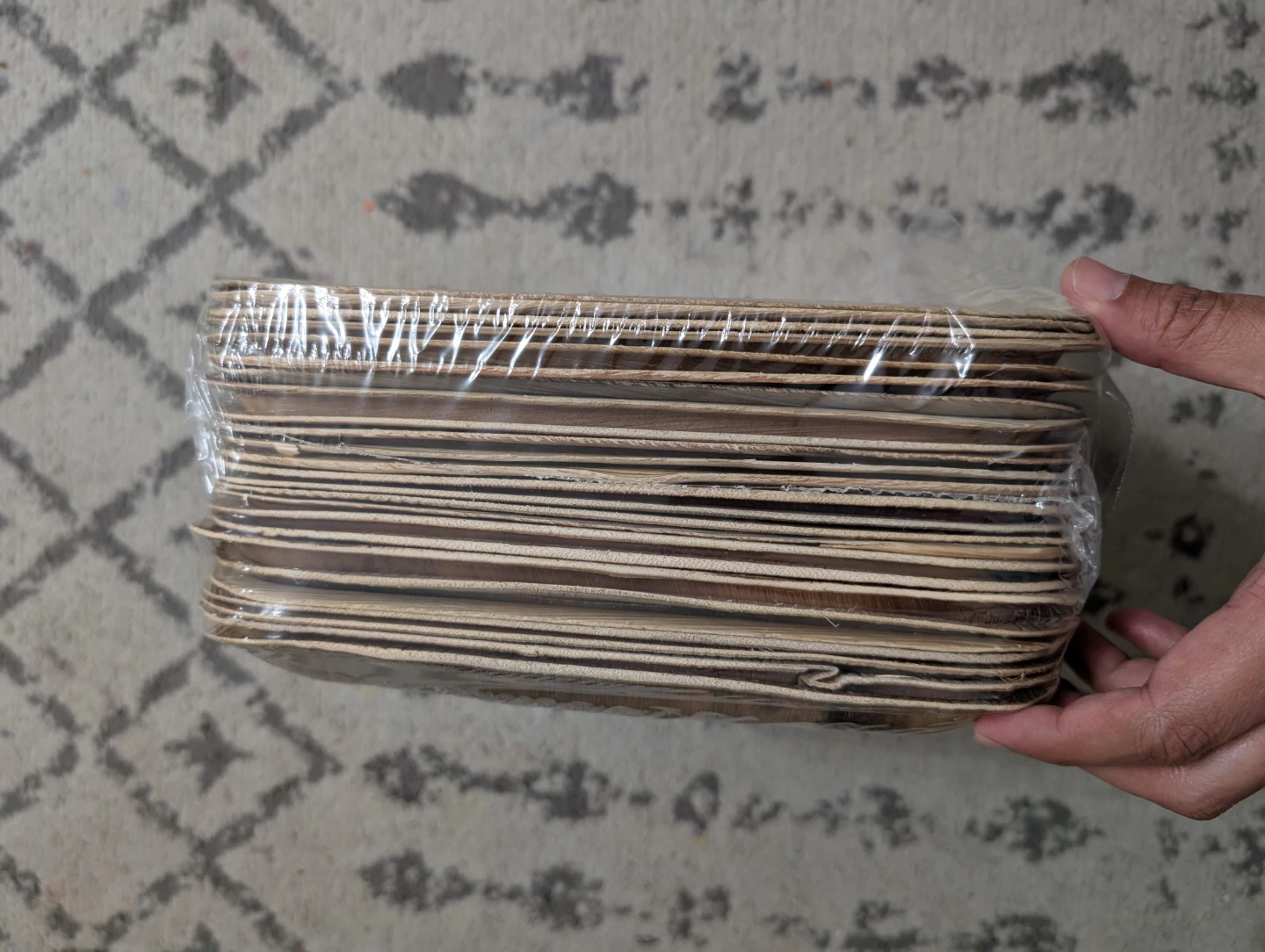 Natural Palm Leaf Plates - Pack of 25