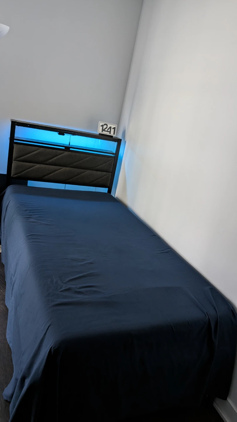 Single Bed Frame with LED Headboard