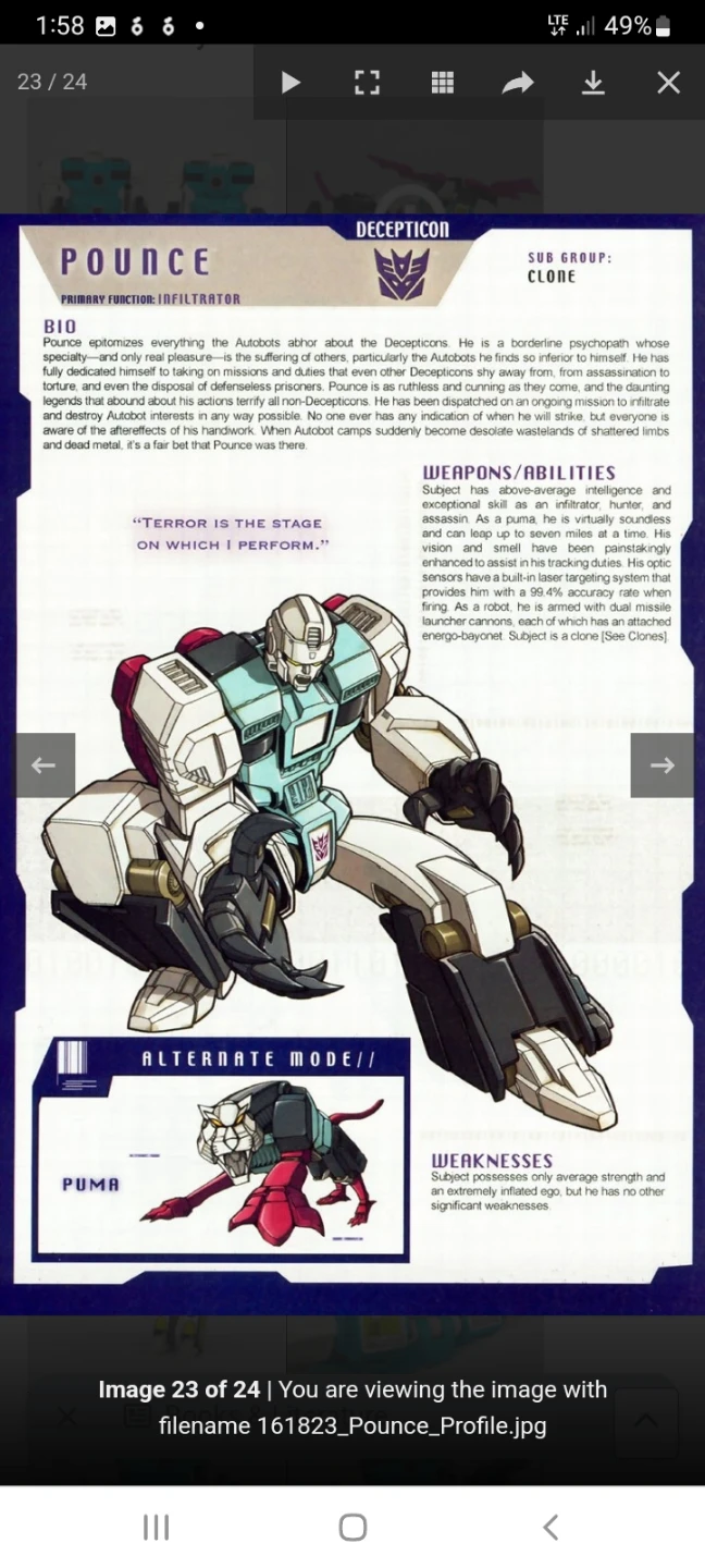 Transformers G1 Wingspan & Pounce - photo 2