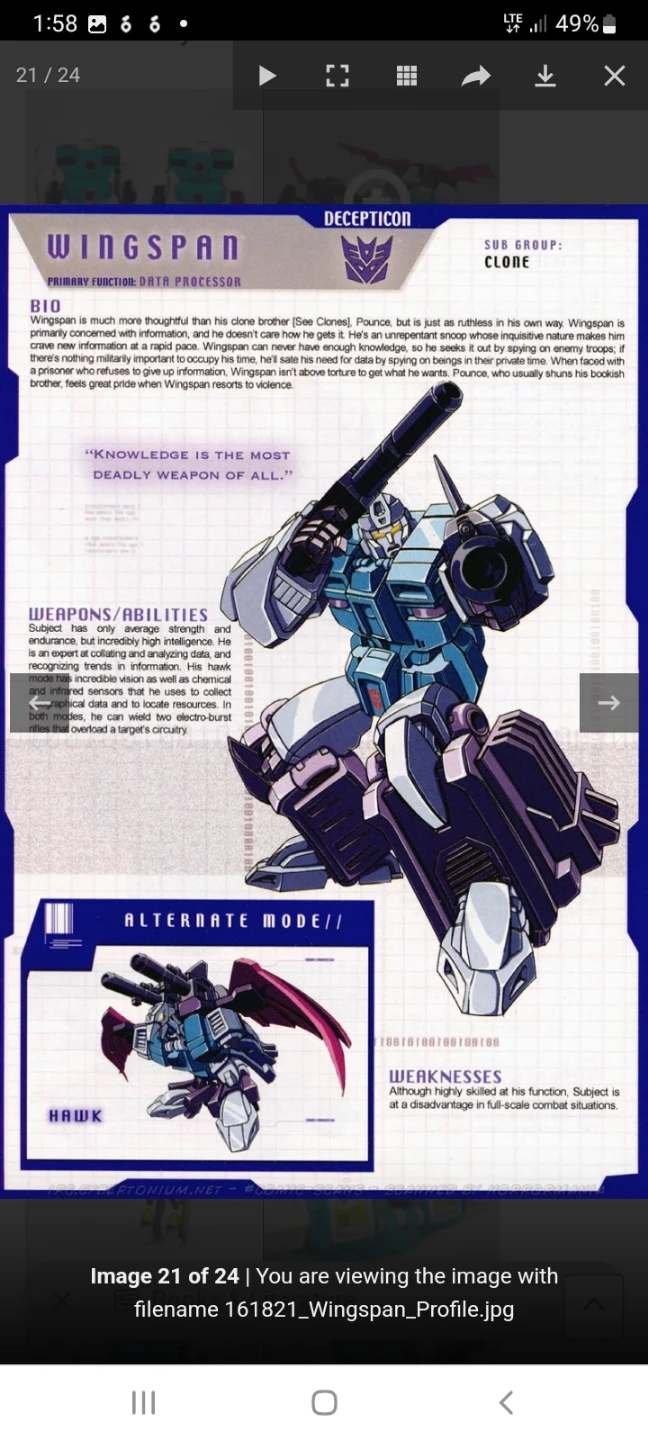 Transformers G1 Wingspan & Pounce - photo 3