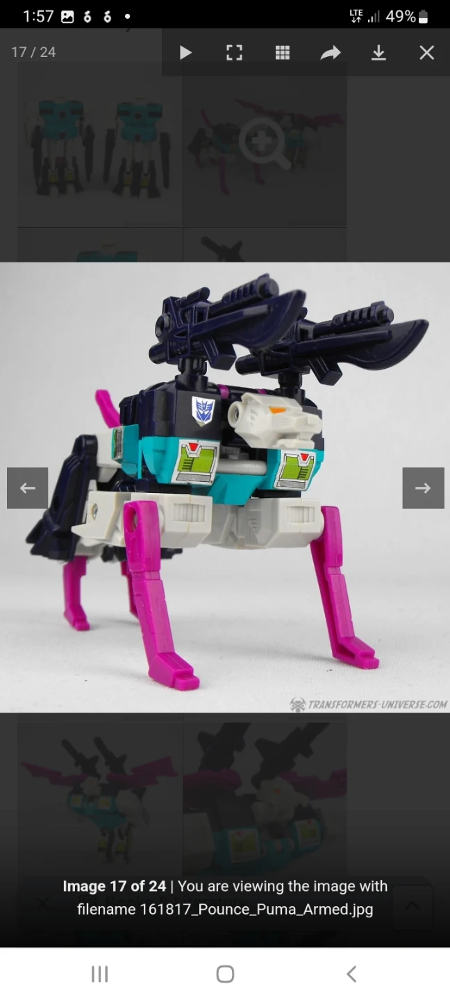 Transformers G1 Wingspan & Pounce - photo 5
