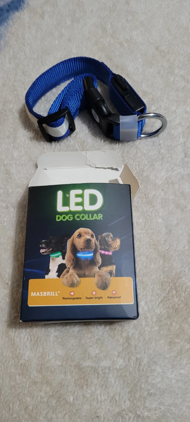 MASBRILL LED Dog Collar - Purple