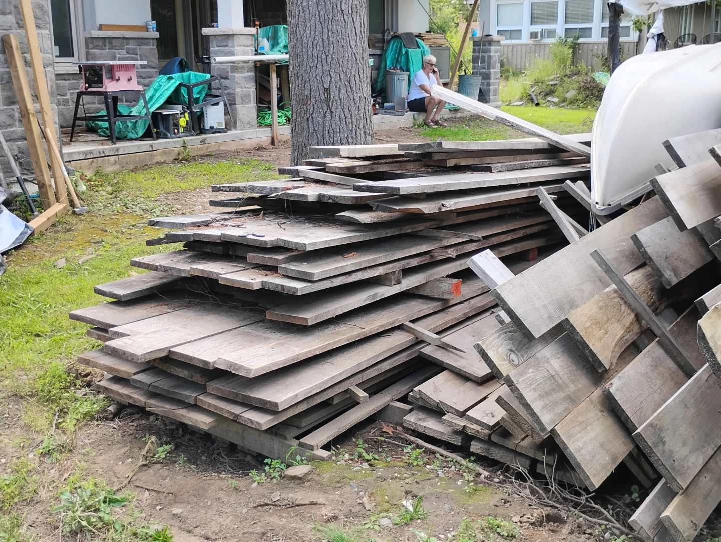 White pine for sale - photo 2
