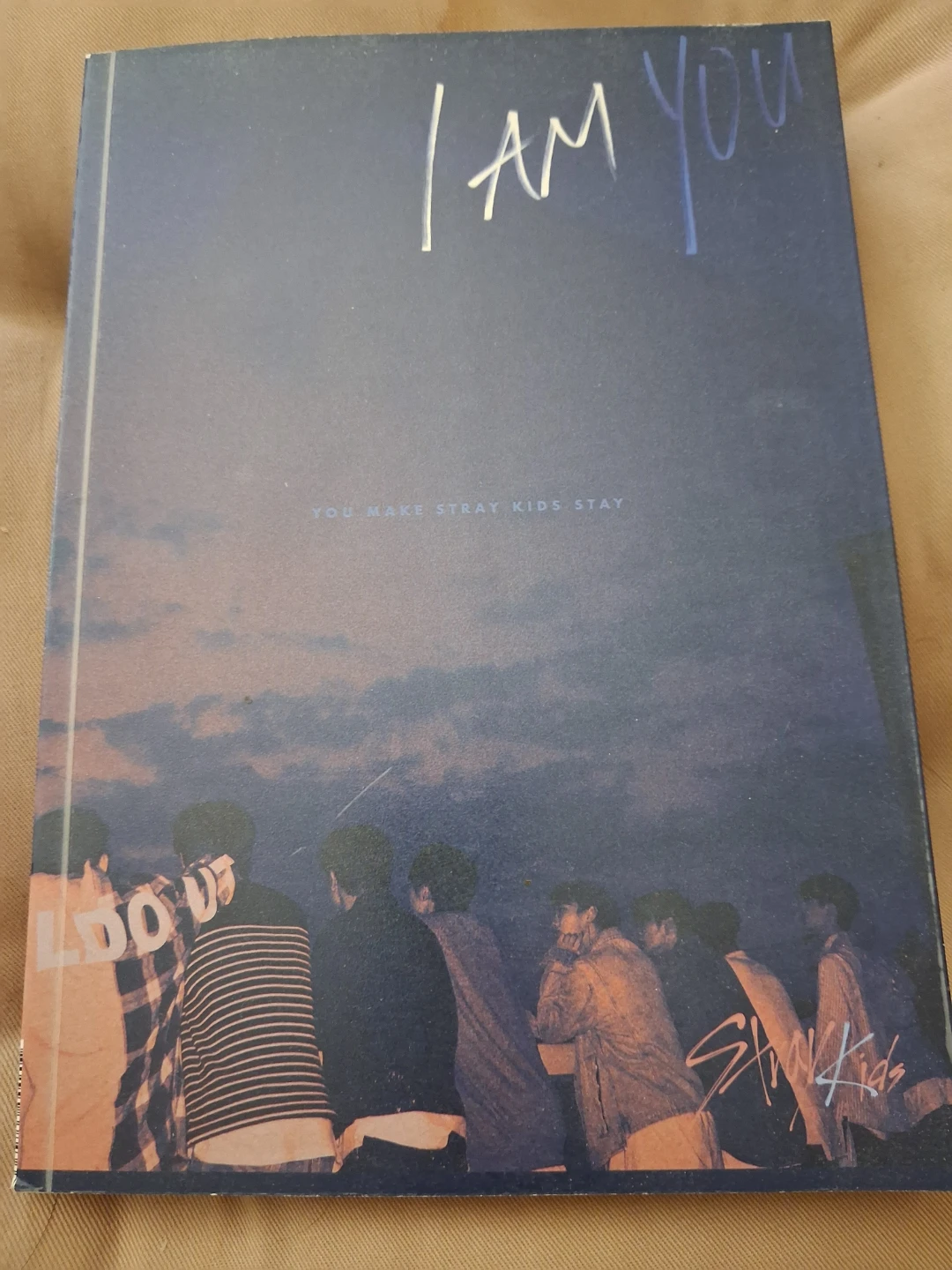 Stray Kids I Am You Album
