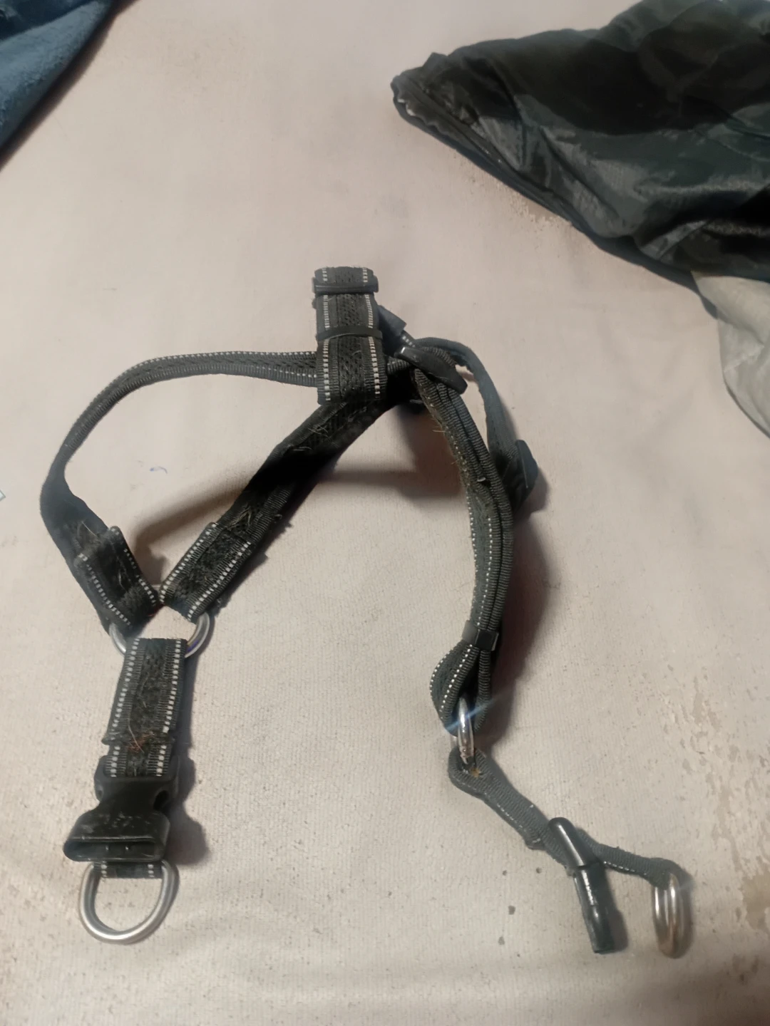 Black Dog Harness - photo 2