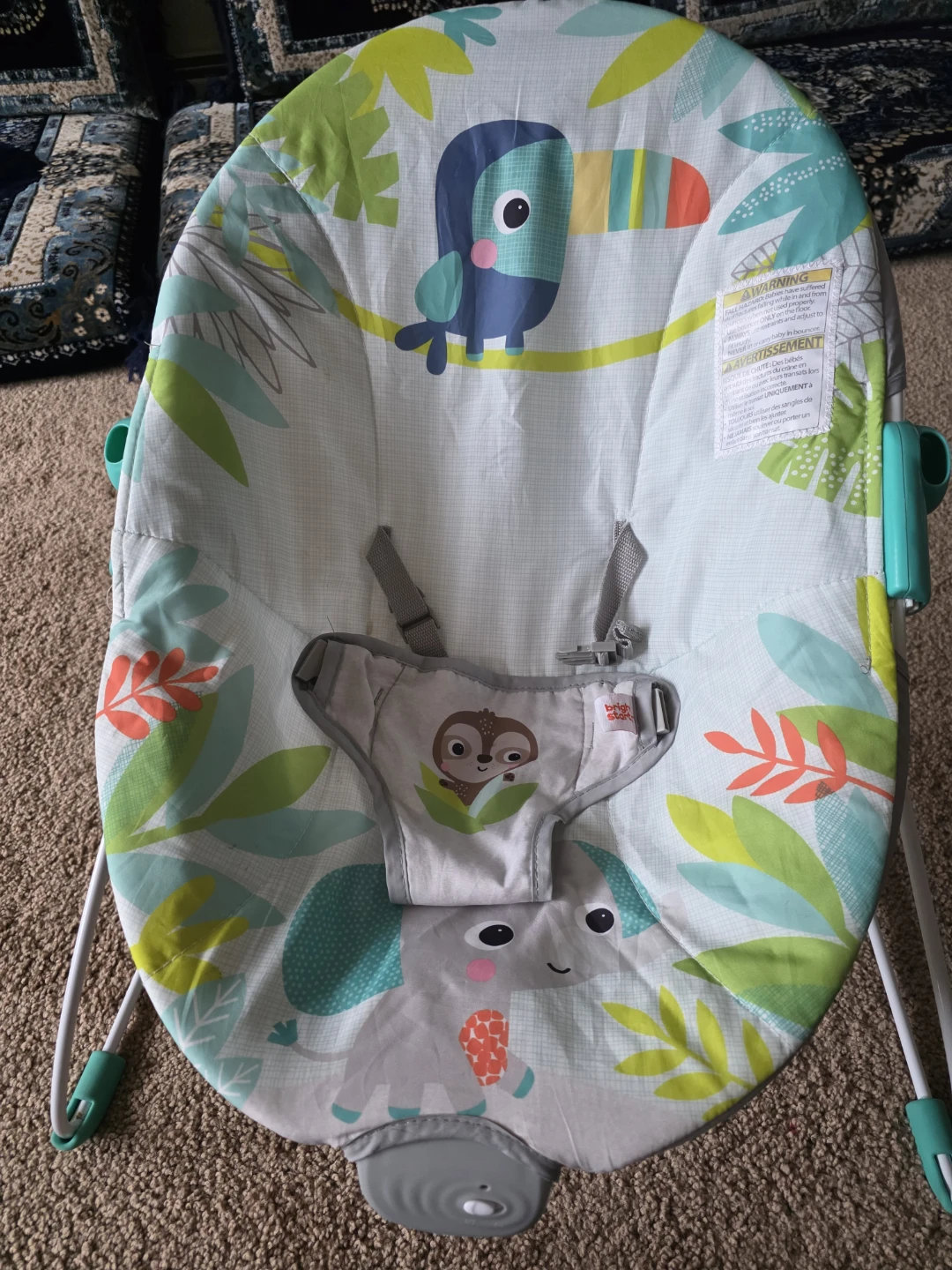 Baby Bouncer