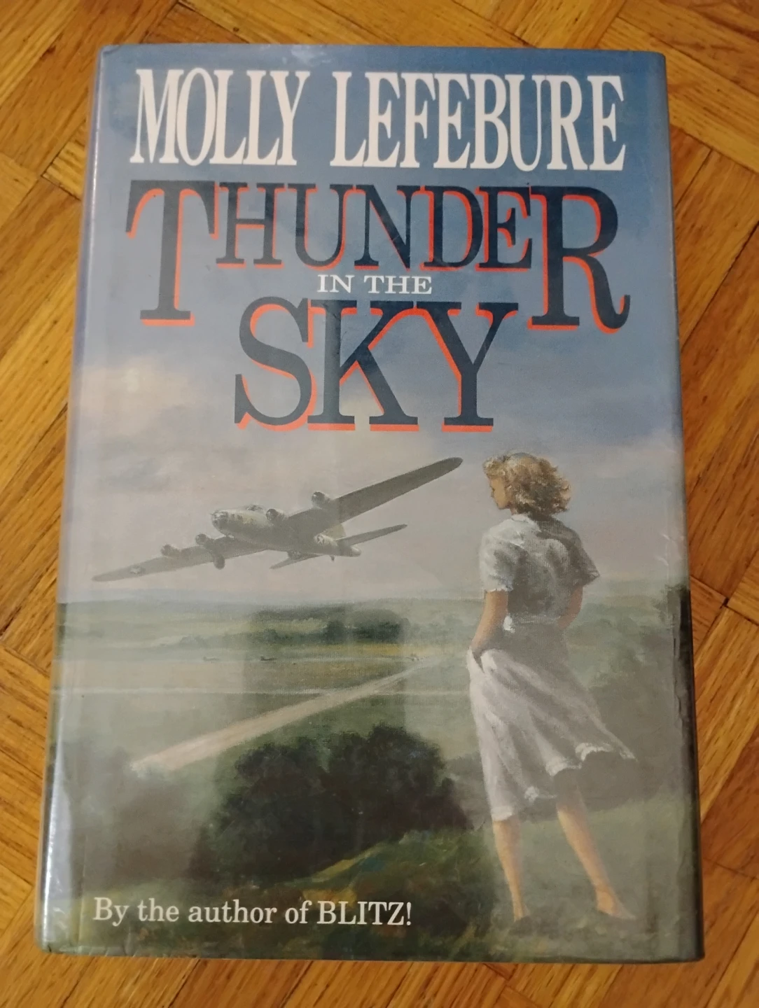 Thunder in the Sky by Molly Lefebure