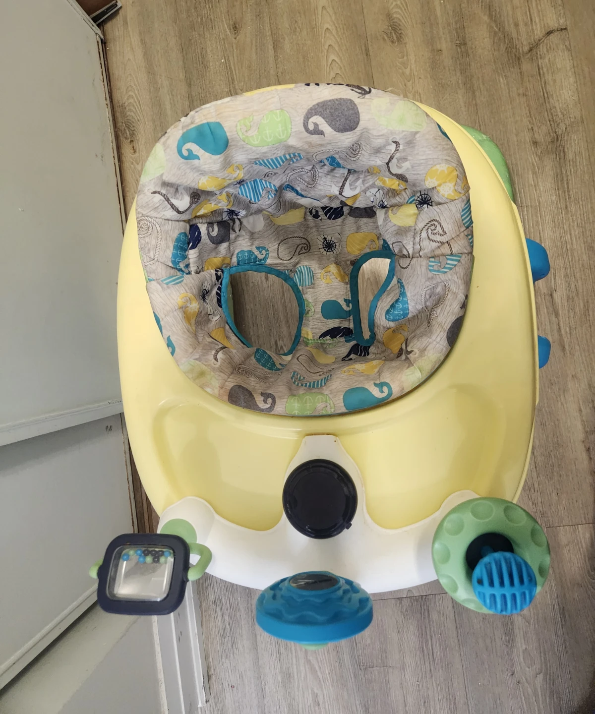 Safety 1st Starry Night Owl Baby Activity Walker - photo 5