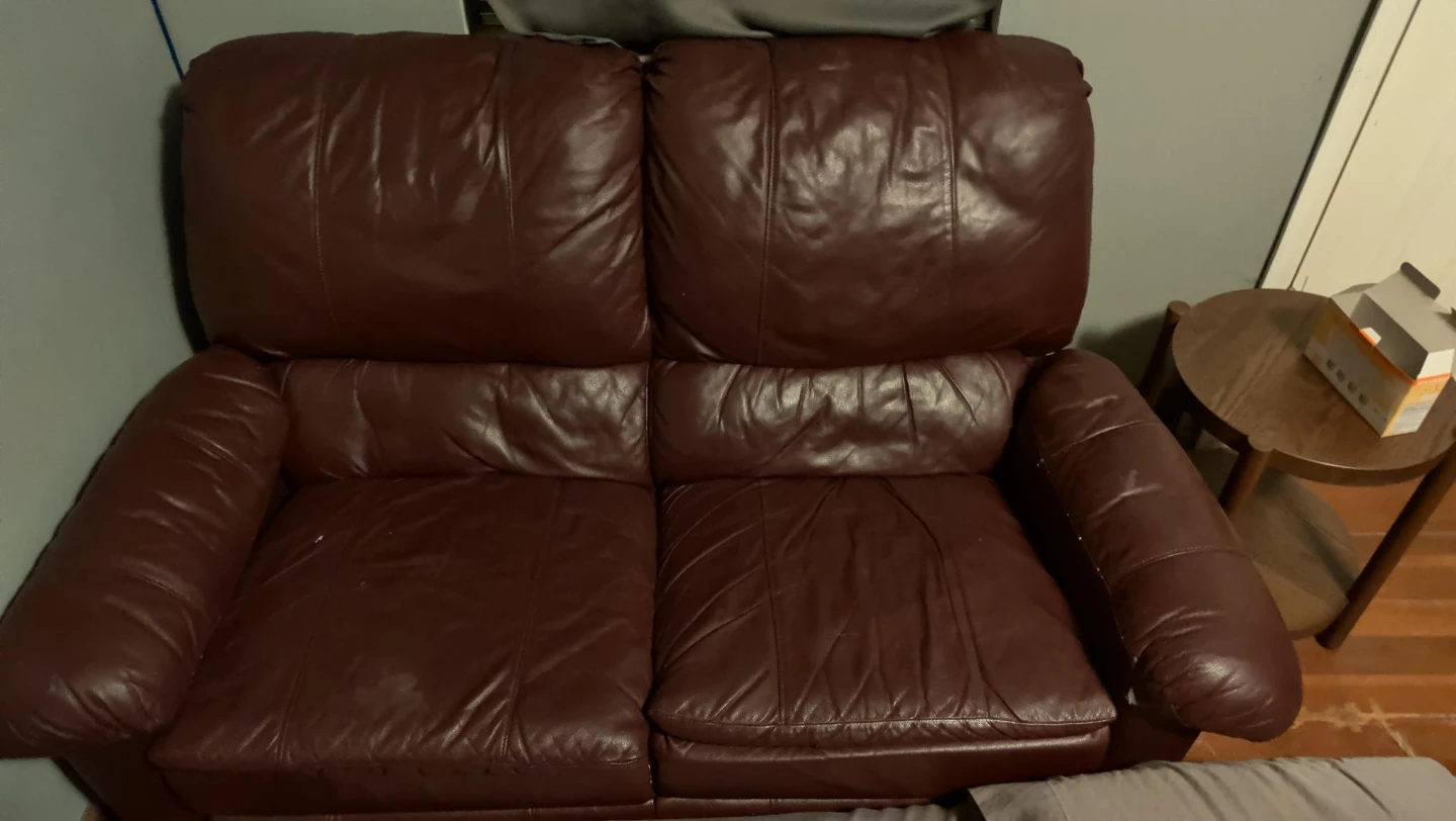 Free leather sofa