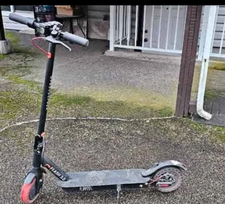 Flash 3.0 Electric Scooter
