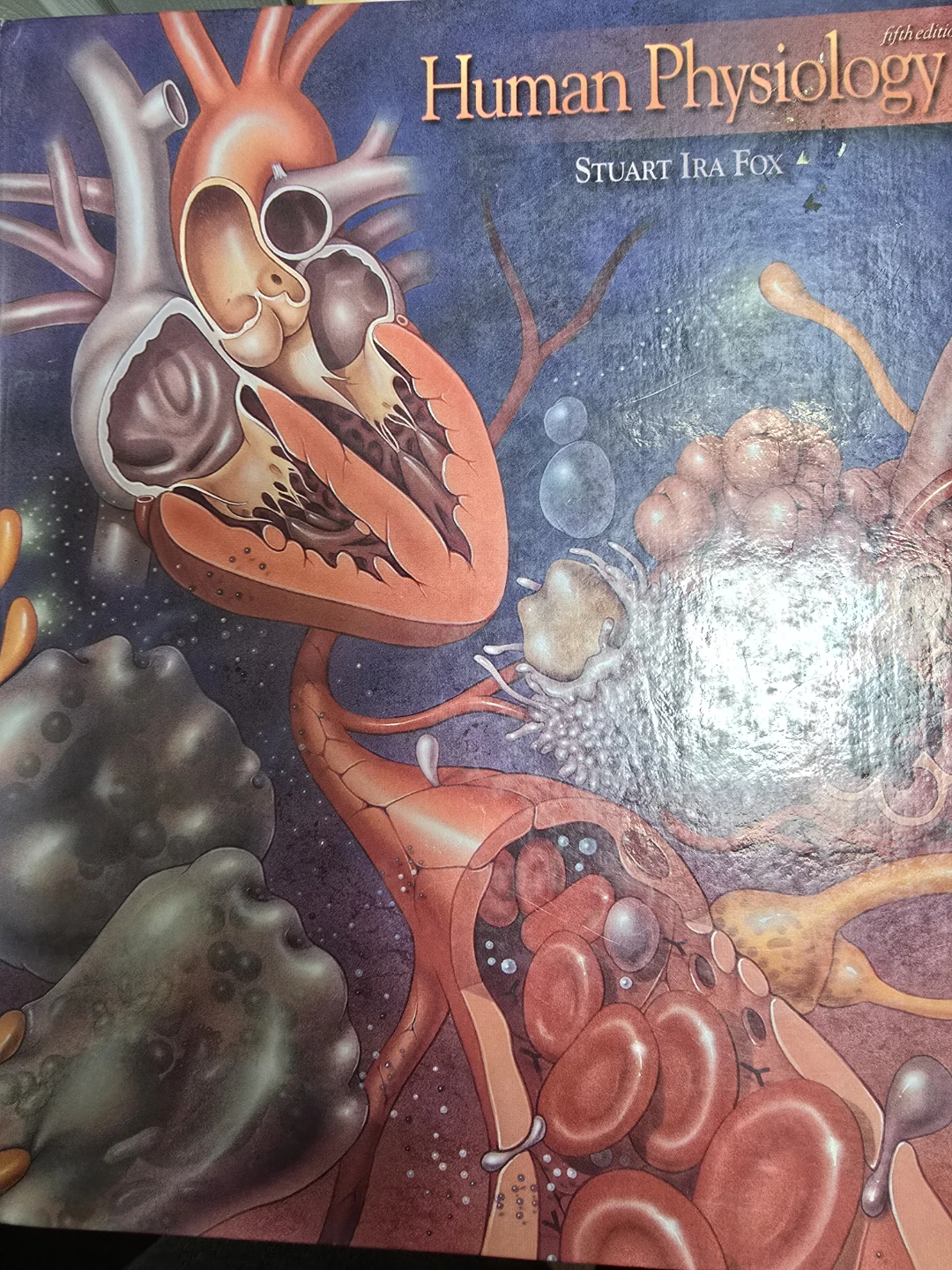 Human Physiology Fifth Edition Textbook