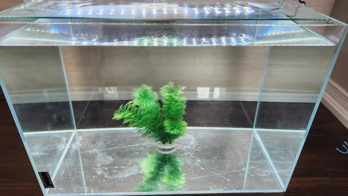 High quality 15 gallon rimless tank