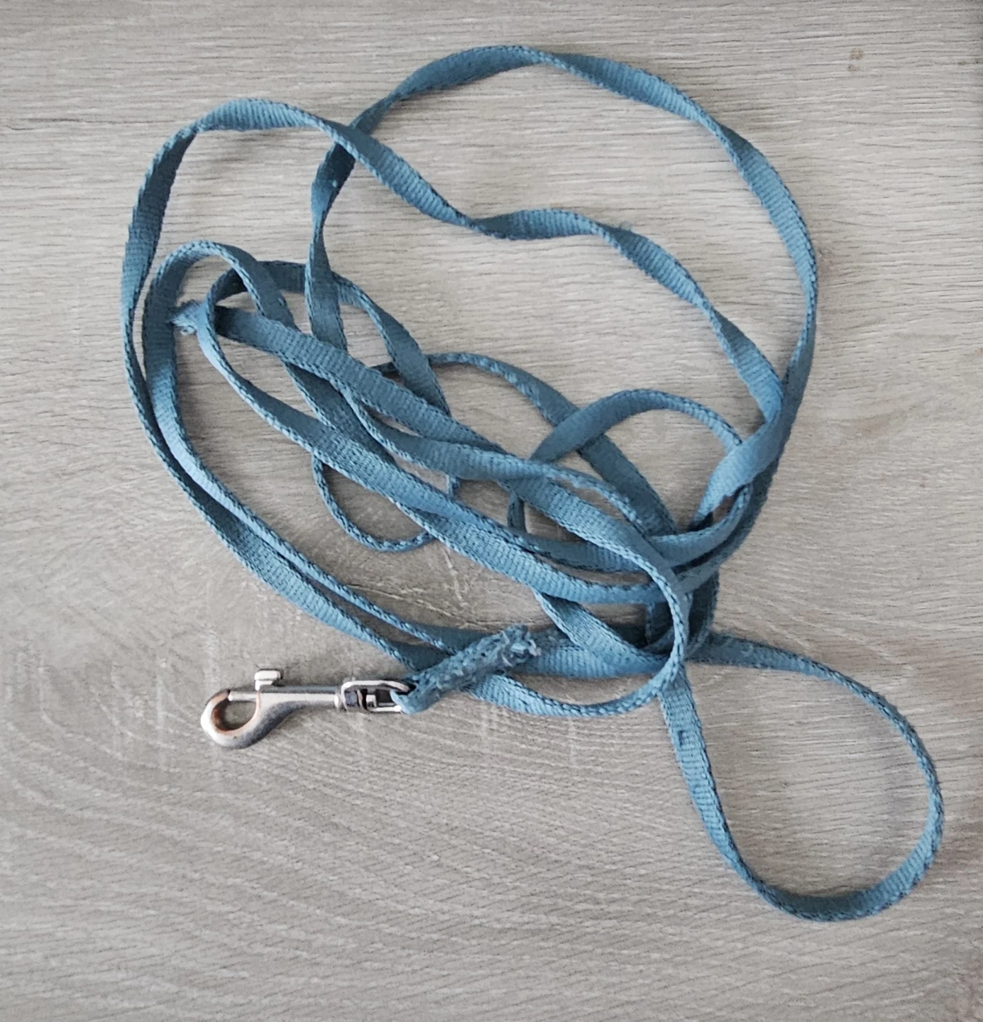 Puppy House Line/Leash