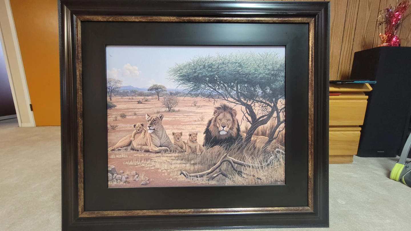 Clive Kay Framed Lion Family Canvas Art BRAND NEW