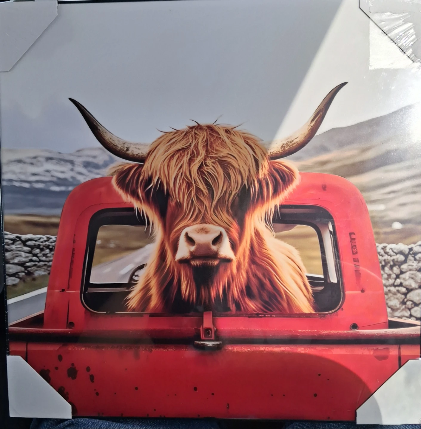 Highland Cow in Red Truck Canvas Wall Art
