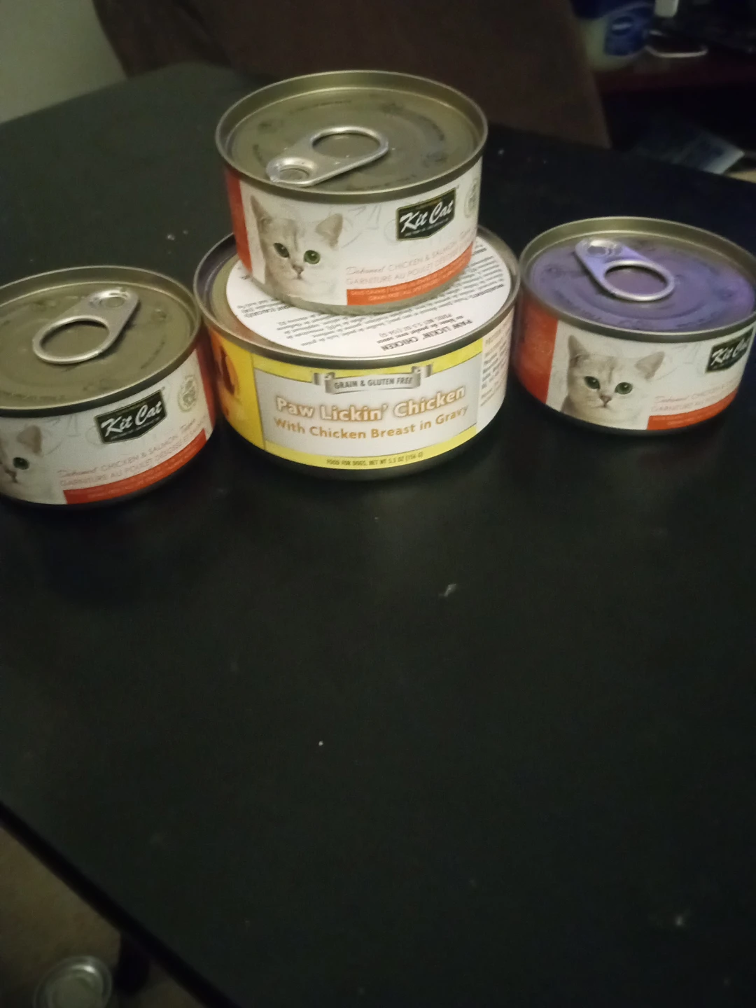 Kit Cat Cat Food - 4 Cans