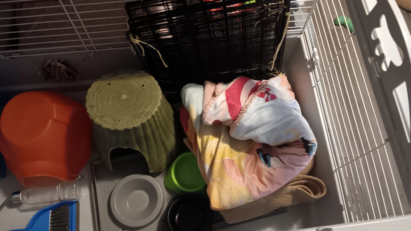 Large Animal Cage with Accessories - photo 3