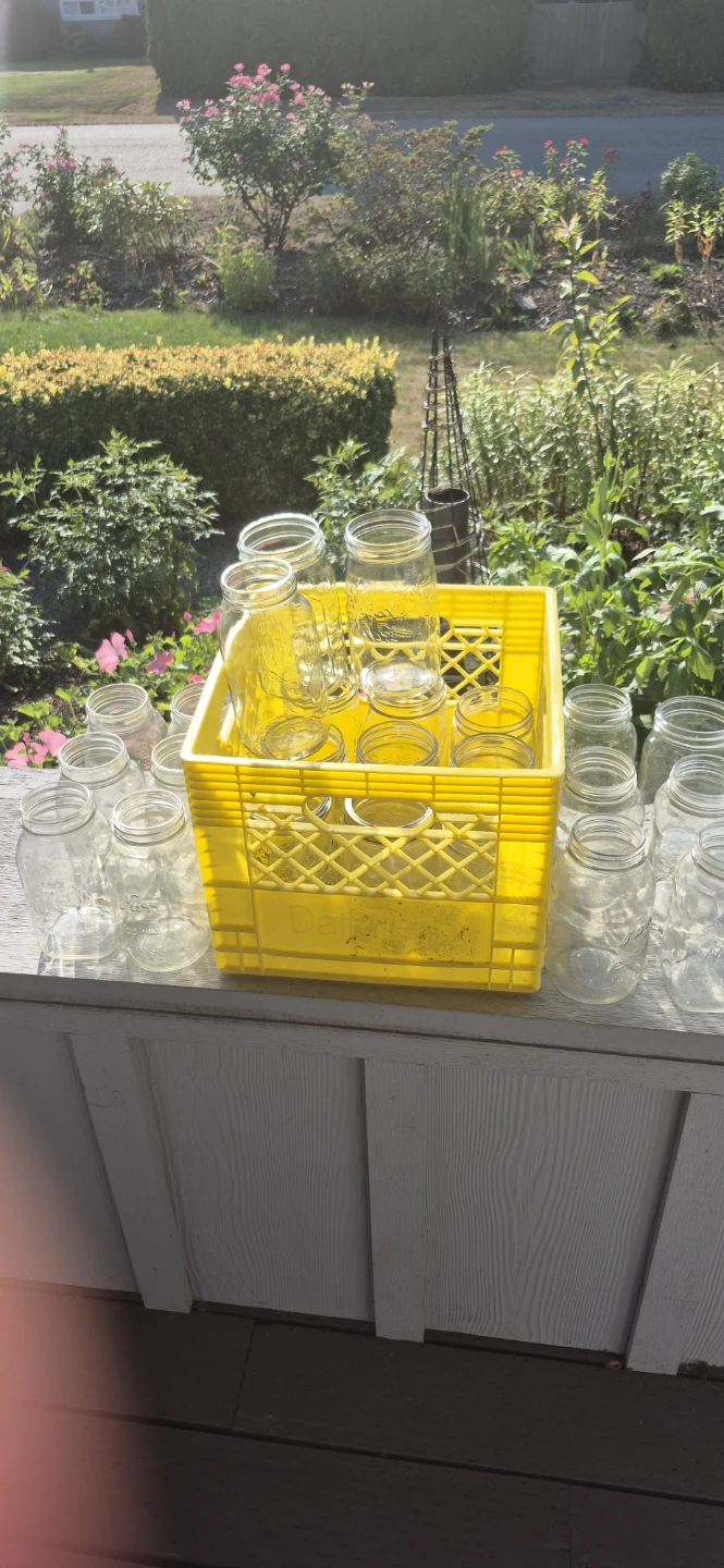 Quart canning jars