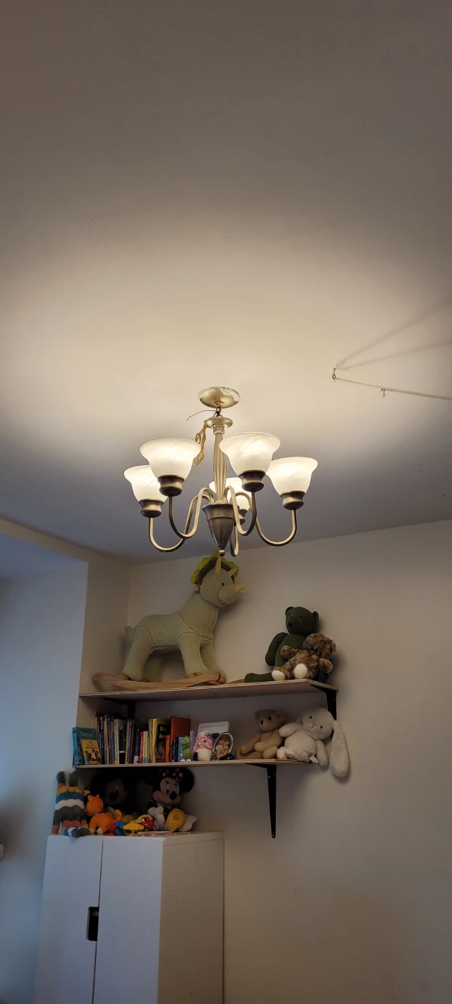 5-Light Chandelier Fixture - photo 3